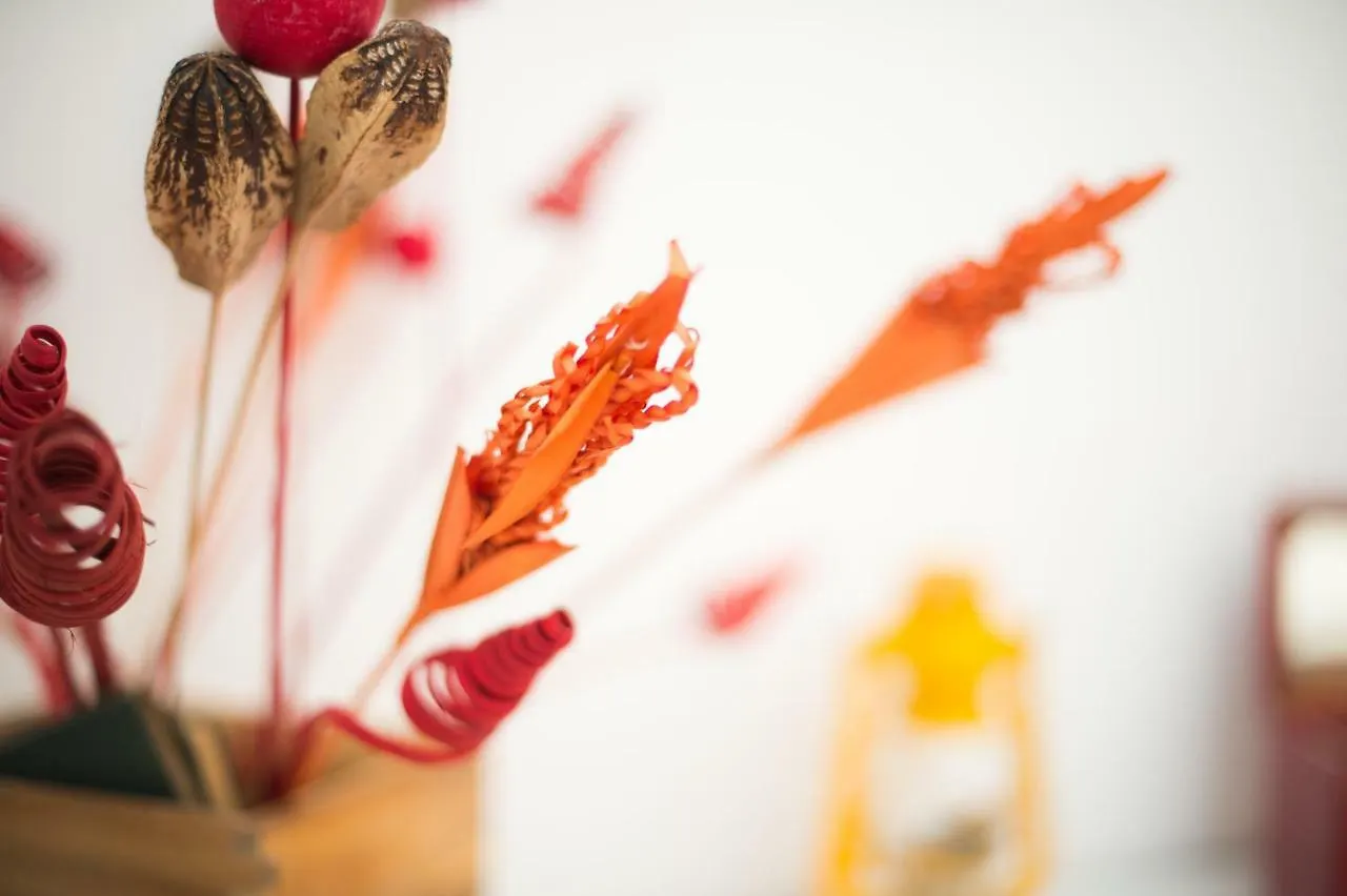 Guest Art Roma Bed & Breakfast イタリア